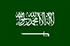 Saudi Professional League country flag